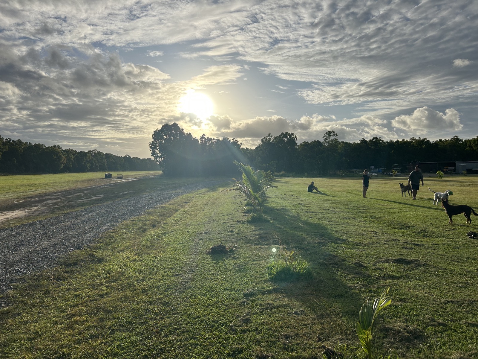 Crew and dogs walking into a golden sunset at a remote property